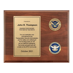 Coins Plaque (TSA)