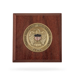 Wooden Paperweight w/ Coin (FEMA)
