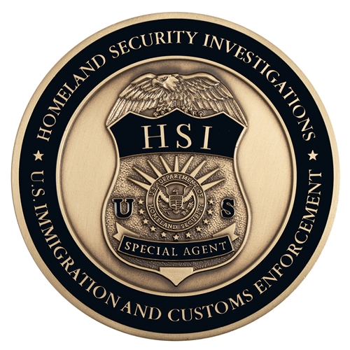 DHS/ICE-HSI 3" Medallion