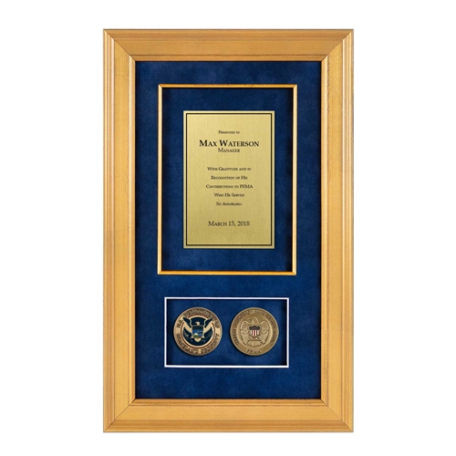 Recognition Shadow Box (Gold) w/ Coins (FEMA)