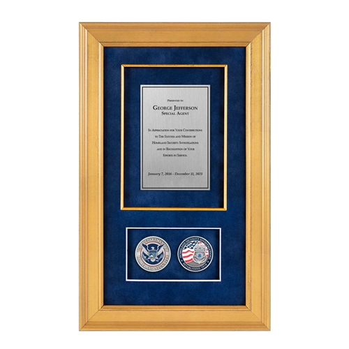 Recognition Shadow Box (Gold) w/ Coins (HSI)