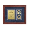 Desk Frame w/ 2 Coins Award (CISA)