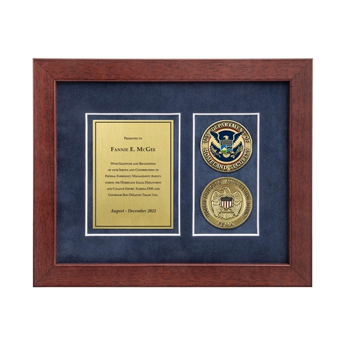 Desk Frame w/ 2 Coins Award (FEMA)