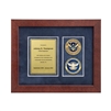 Desk Frame w/ 2 Coins Award (TSA)