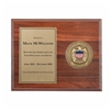Medallion Plaque Award (FEMA)