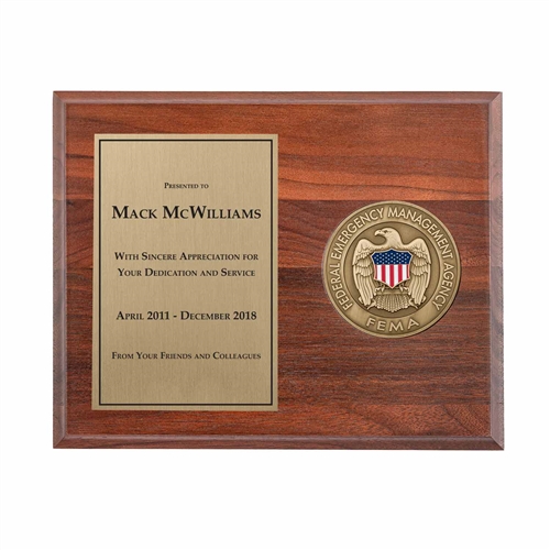 Medallion Plaque Award (FEMA)