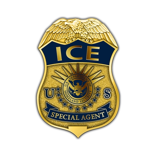 ICE Badge Lapel Pin â€“ â€œSPECIAL AGENTâ€