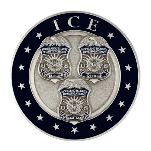 DHS ICE-HSI Color Coin